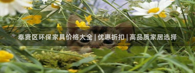 杏耀官网主管