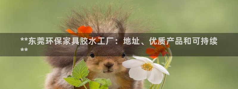 杏耀平台网站是什么