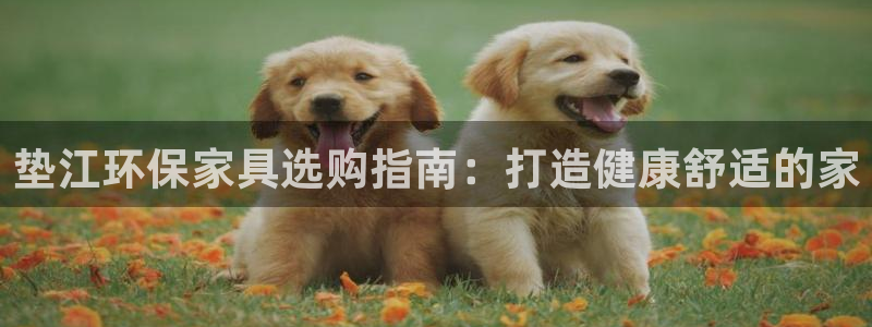 杏耀平台黑款