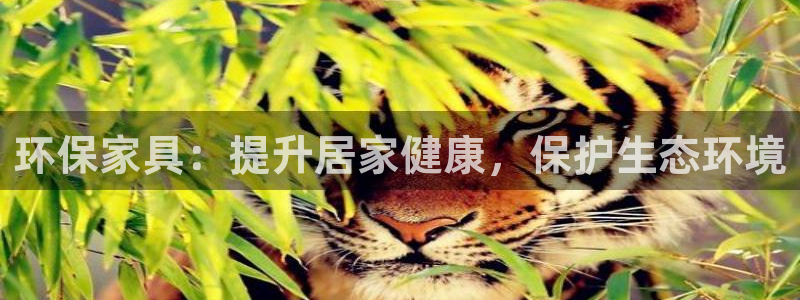 杏耀app怎样申请