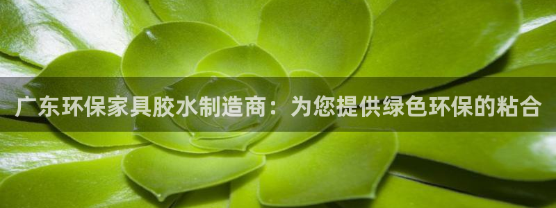 杏耀登陆线路