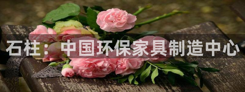 杏耀代理连接