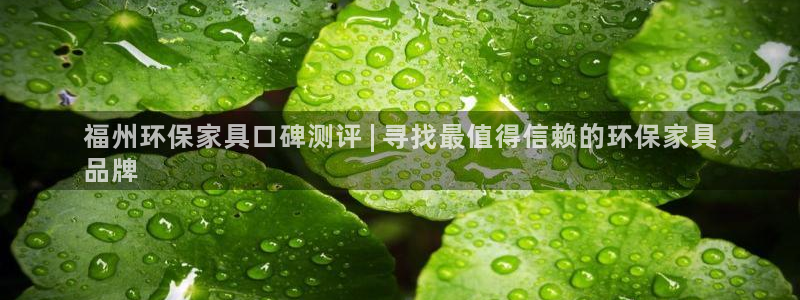 杏耀总代