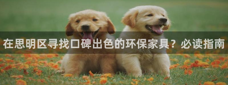 杏耀平台分红