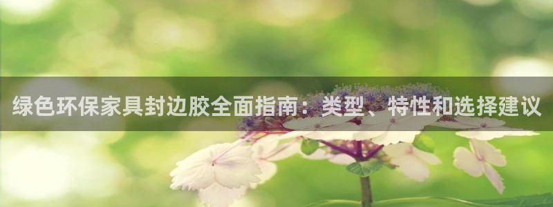 杏耀代理日工资多少
