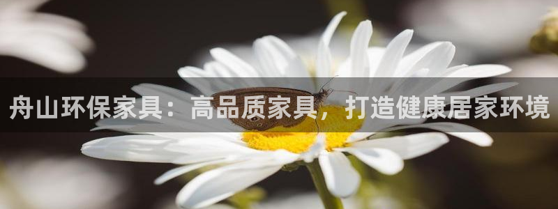 杏耀平台怎样：舟山环保家具：高品质家具，打造健康居家环境