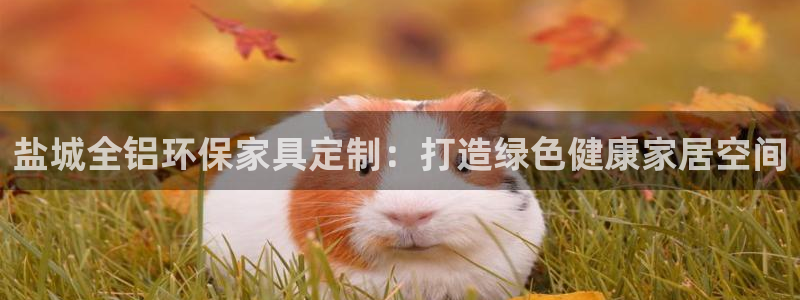 杏耀软件