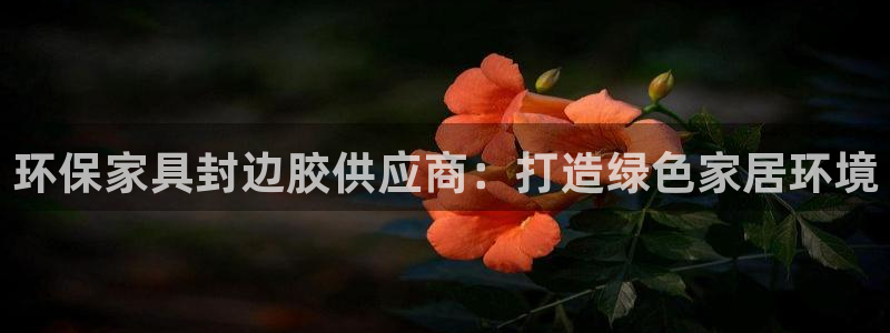 杏耀平台测速登陆：环保家具封边胶供应商：打造绿色家居环境