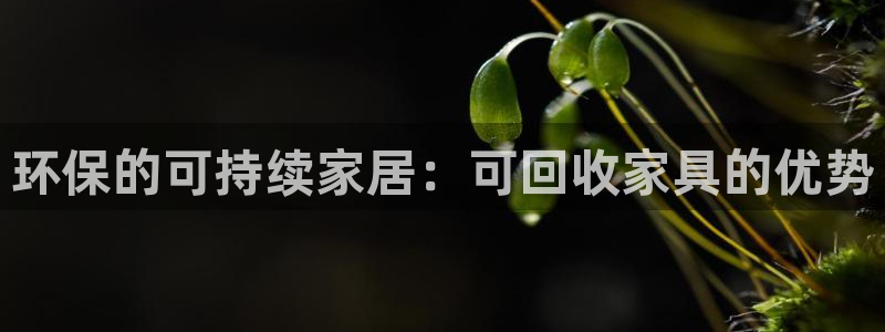杏耀代理官网