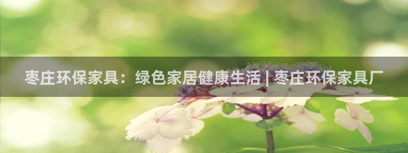 杏耀平台代理注册多少钱：枣庄环保家具：绿色家居健康生活 | 