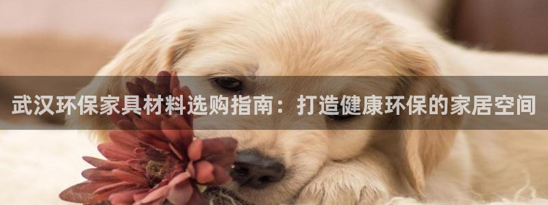 杏耀注册登录：武汉环保家具材料选购指南：打造健康环保的家居空