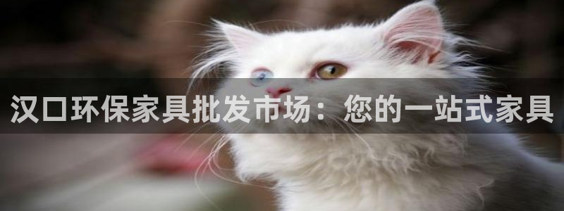 杏耀官网登陆：汉口环保家具批发市场：您的一站式家具