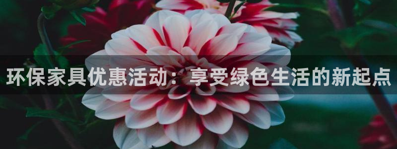 杏耀代理1980