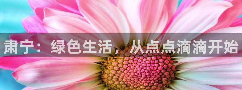 杏耀平台还在吗