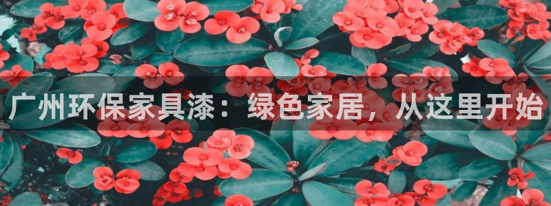 杏耀平台几年了：广州环保家具漆：绿色家居，从这里开始