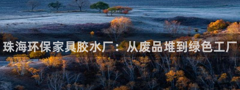 杏耀平台专用通道：珠海环保家具胶水厂：从废品堆到绿色工厂