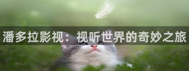 蓝光电影在线观看：潘多拉影视：视听世界的奇妙之旅